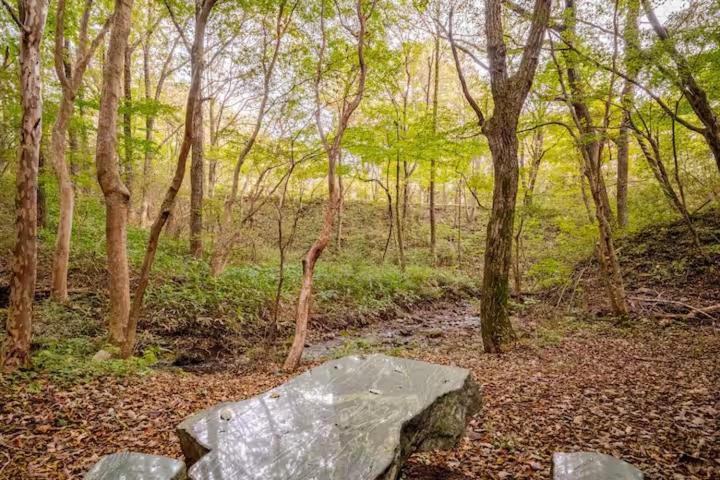 Nasu Country